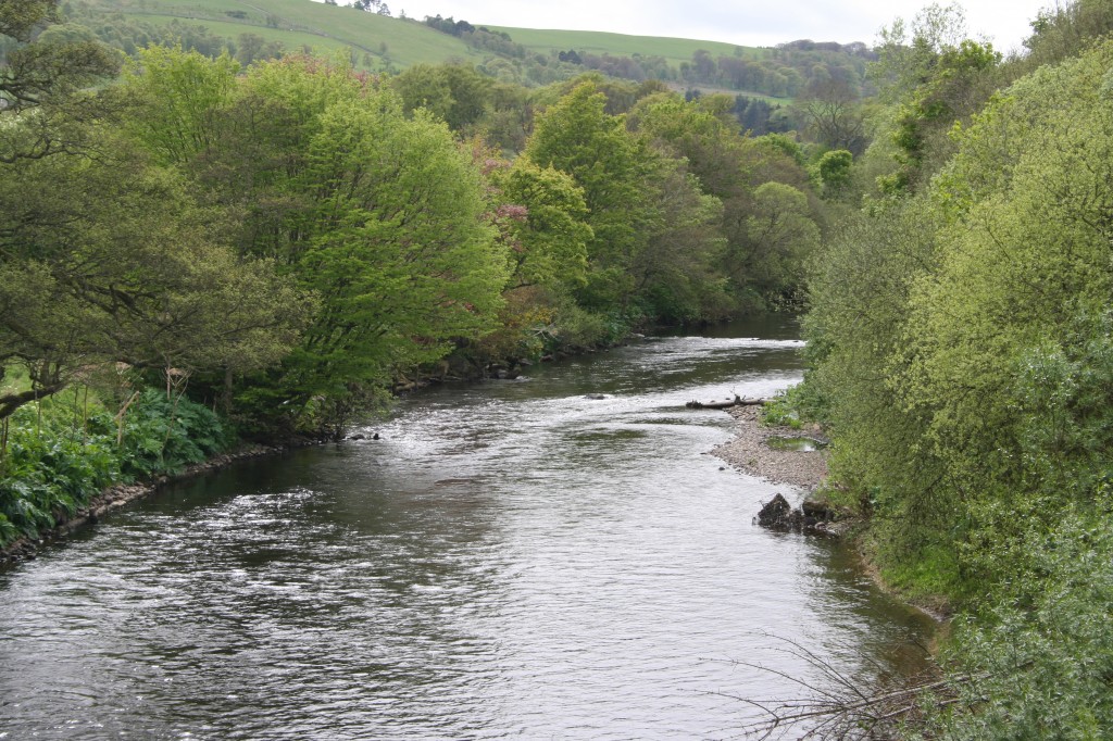 Beeches Pool from the Aqueduct - Milton Beat