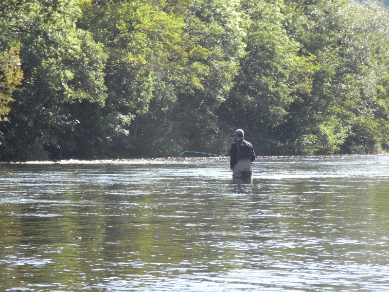 Lower Boat Pool & the head of the Flats in ideal water for an early autumn salmon