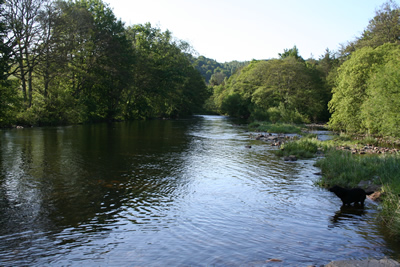 View down the Flats