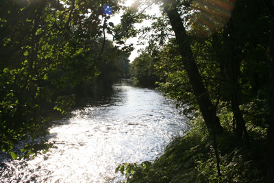 Sunny May morning: Tyndals