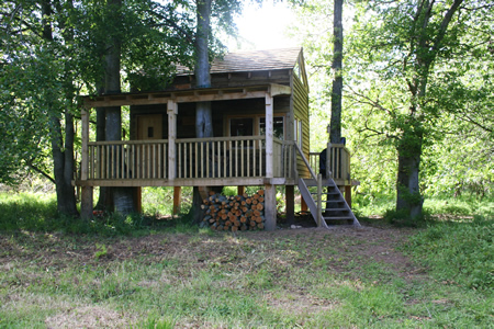 David's Tree House