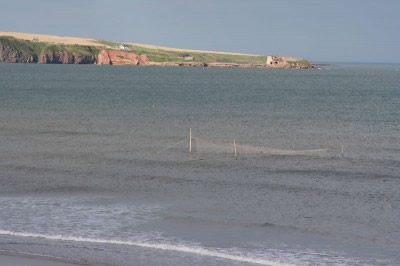 Pullar nets in Lunan Bay