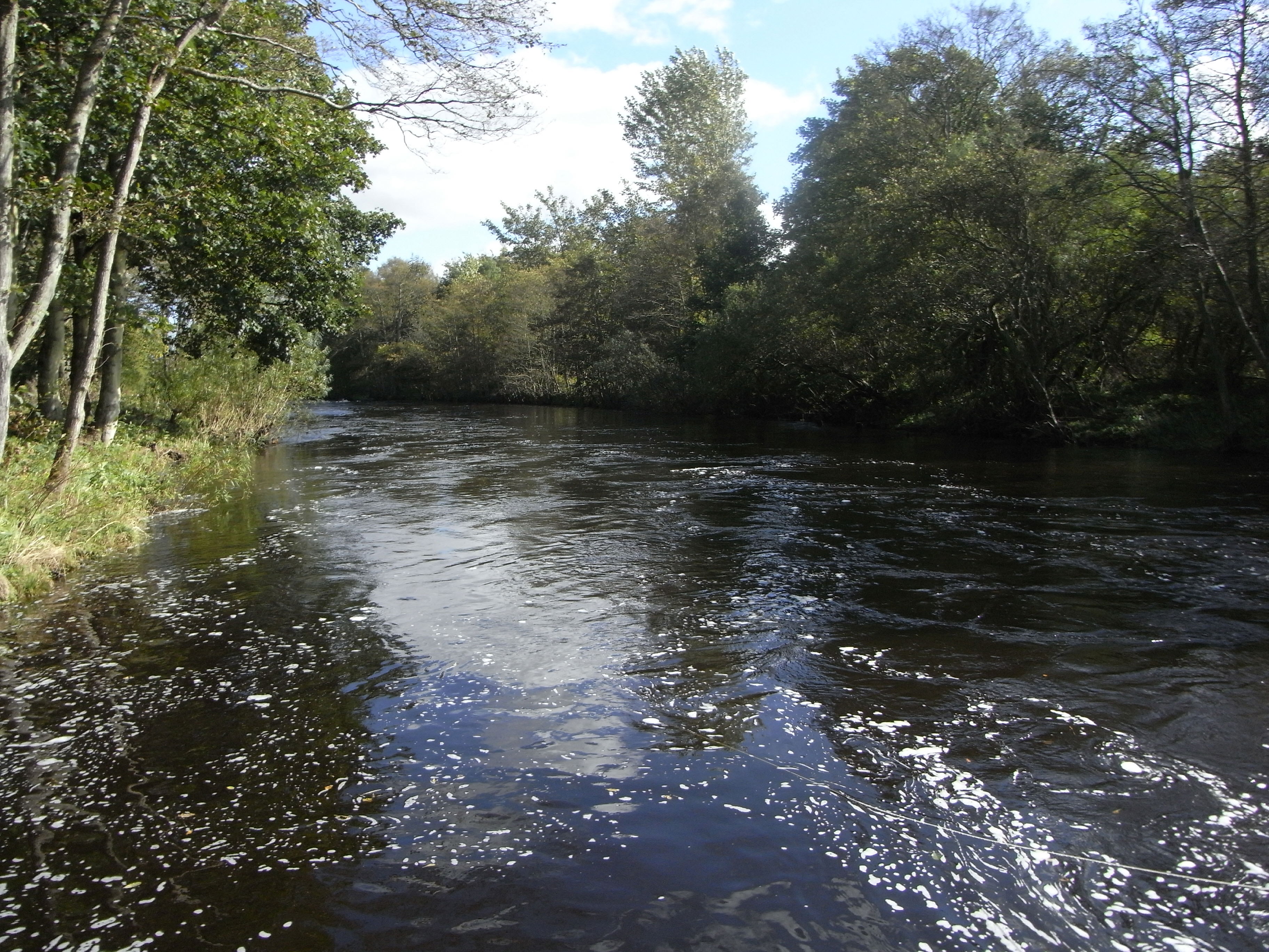 Melgund Pool