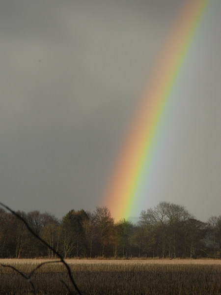 Rainbow over Finavon