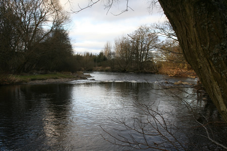 Tail of Franks from right bank