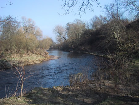 Red Brae in very early spring