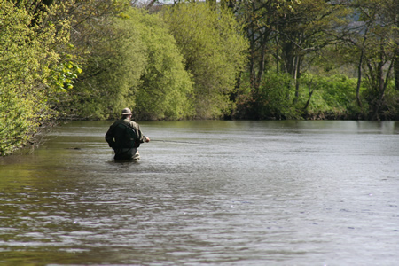 Fishing Tyndals Tail