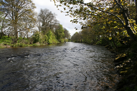 Tyndals Pool