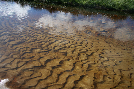 Silt on the move