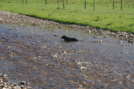 Stony channel