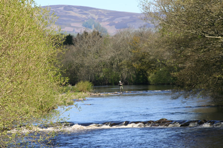 Flats & the hills from suspension bridge