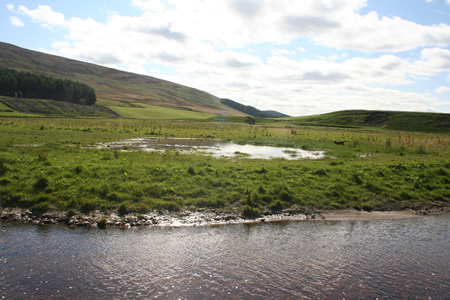 nice wetland picture