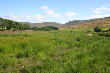 Wetland in the Rottal Burn 'delta'