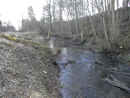 Lemno Burn after the tree canopy was reduced