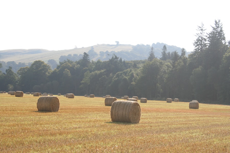 Lemno Woods & high-roll bales