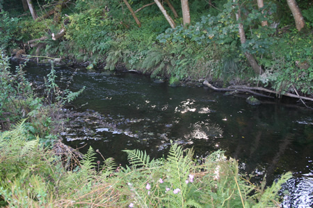 Lemno Burn low water stream