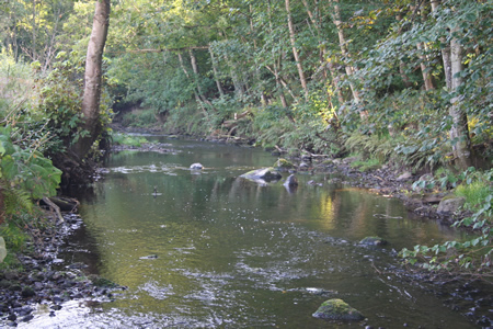 Lemno Burn pool in the margin of the wood