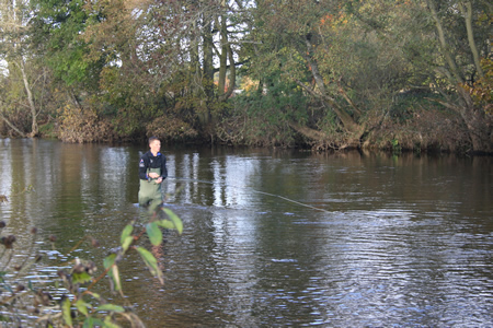 Charlie fishing through Willows on 30 Oct 12