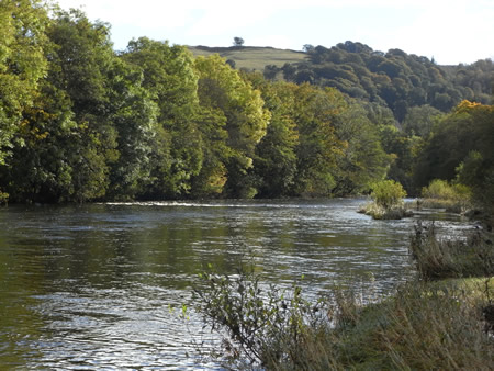 Lower Boat Pool in good conditions for an autumn salmon