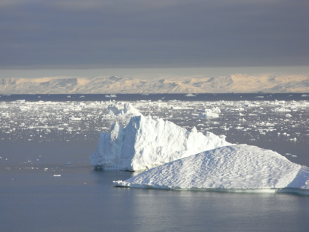 Where Spring Salmon feed: the Greenland Coast