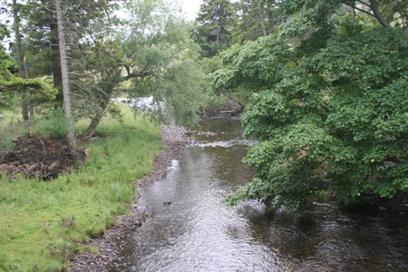 Glen Clova great juvenile habitat