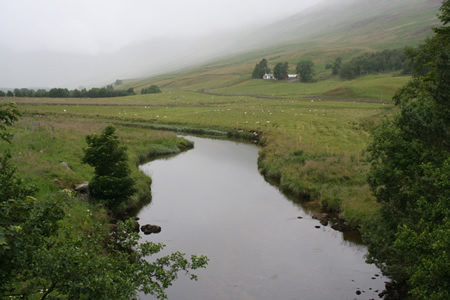 Glen Clova great juvenile habitat