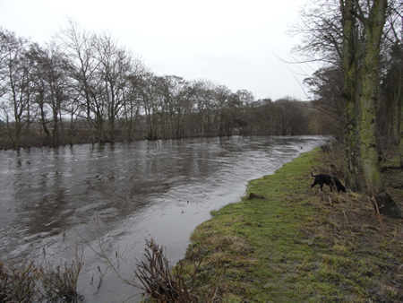 High water in the Boat Pool