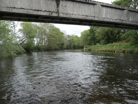 The salmon Lie below the Haughs Aqueduct
