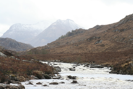 Tree Pool & Ben Dearg