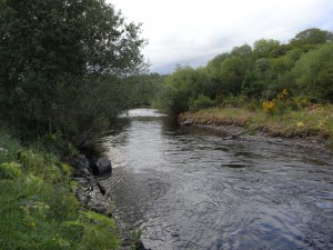 Tollmuir Pool, Bogardo Beat