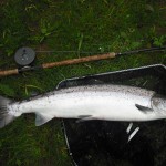 16lbs salmon April 2010