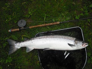 16lbs salmon April 2010
