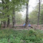 Tree house in David's Wood