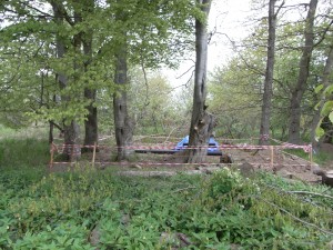 Tree house in David's Wood