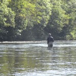 Lower Boat Pool & the head of the Flats in ideal water for an early autumn salmon