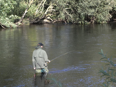 Fishing down the Willows